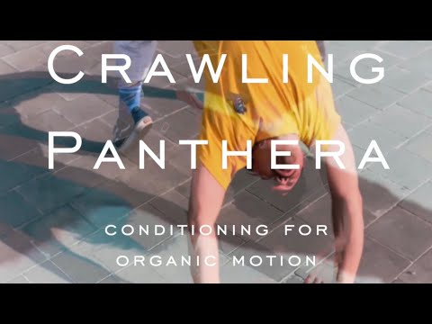 "Crawling Panthera" – Locomotion/Crawling Patterns Breakdown (Continuity in Movement)