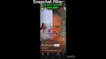 Snapchat Filter Snapchat 