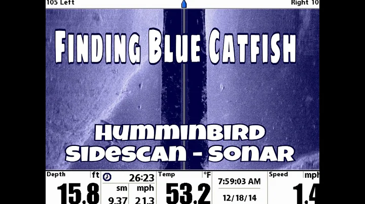 Finding Blue Catfish on Sonar with Catfish Guide M...