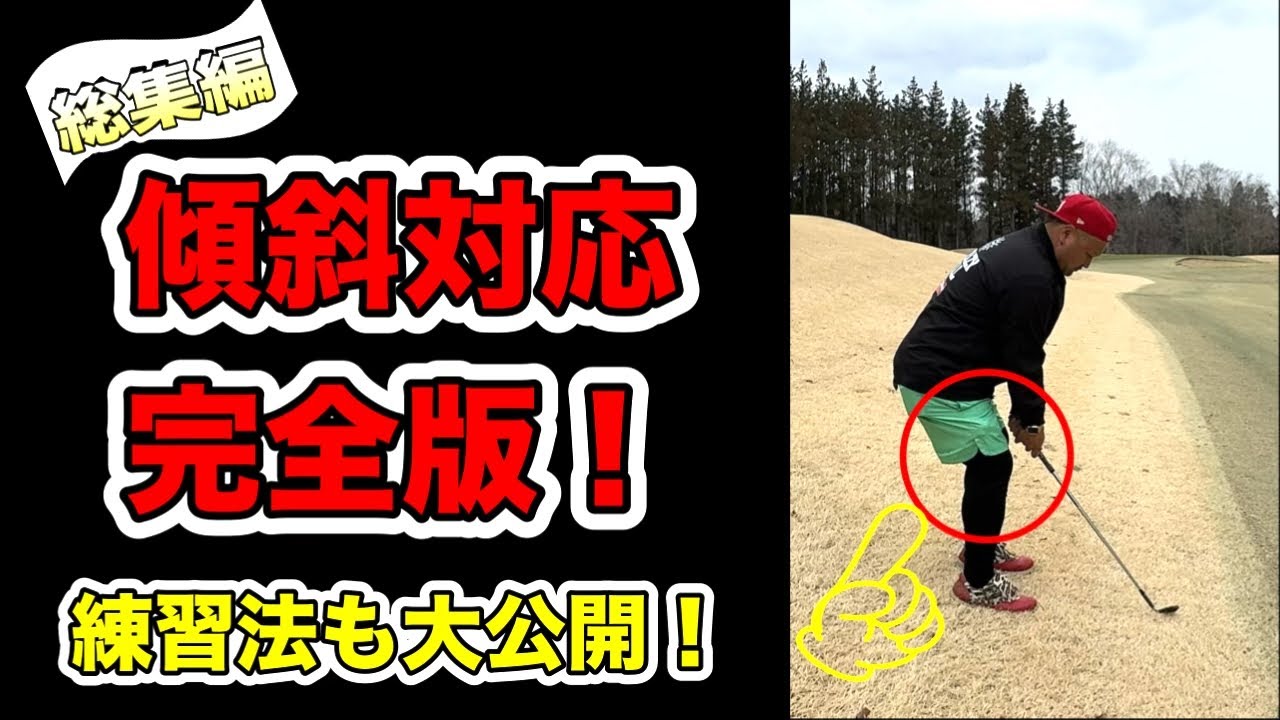 Compilation] This video is packed with everything you need to know