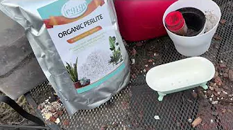 Plant Cutting Idea - Perlite Prop Tub