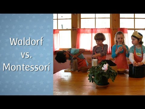 Vídeo: Diferença Entre Montessori E Steiner