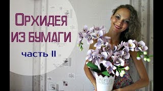 Невероятные ОРХИДЕИ из гофрированной бумаги. Часть 2 Невероятные ОРХИДЕИ из гофрированной бумаги. Часть 2
