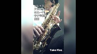 【検証!!】格安アルトサックス「ソレイユ」SAL-1吹いてみた、、テークファイブ