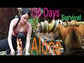 Full Episode: 136 Days SOLO Camping & Bushcraft And Lisa's Alone Survival | My Free Life
