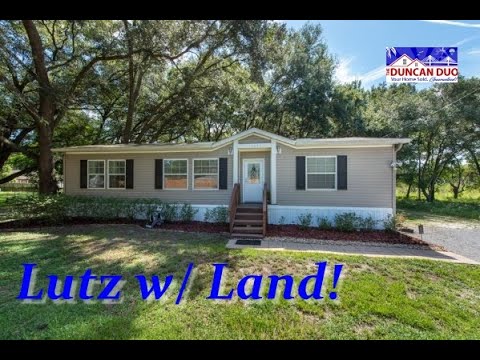 15117 N 20TH ST, Lutz, FL home video tour