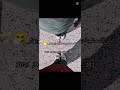 انا وياك مشينا دروب نهار وليل وليل نهار