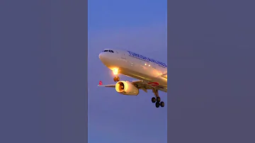 Turkish Airlines Landing هبوط الخطوط الجوية التركية Shorts 