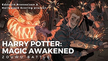 Zouwu Battle (from “Harry Potter: Magic Awakened”)