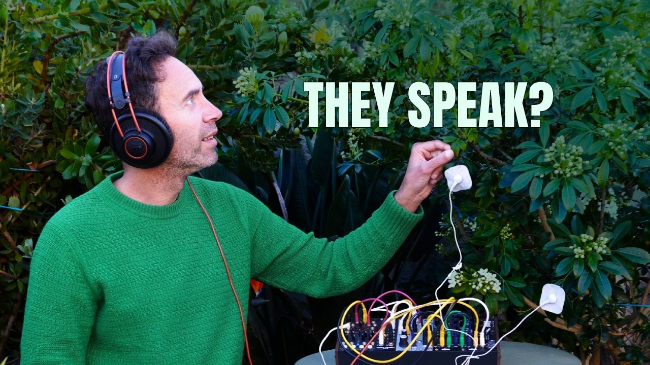 The Secret Sounds of Plants: Mexican Orange Blossom 🌿