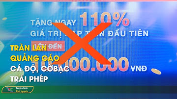 Tràn lan quảng cáo cá độ, cờ bạc trái phép – Bản tin Trong nước quốc tế 4/7/2024 | Thái Nguyên TV