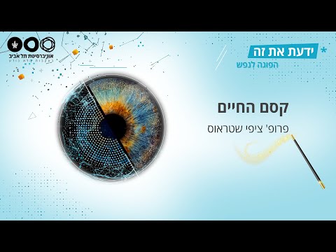 וִידֵאוֹ: טיעון כבד משקל