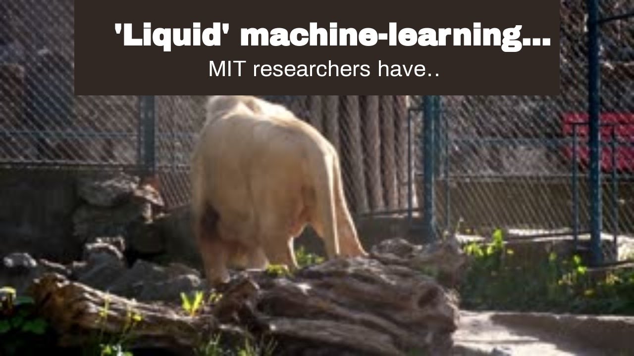 'Liquid' machine-learning system adapts to changing conditions