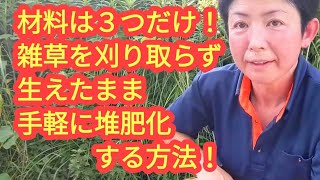 素晴らしい 雑草対策❗材料はつだけ❗刈り取らず生えたまま手軽に堆肥化する方法