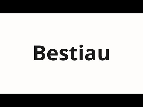 How to pronounce Bestiau