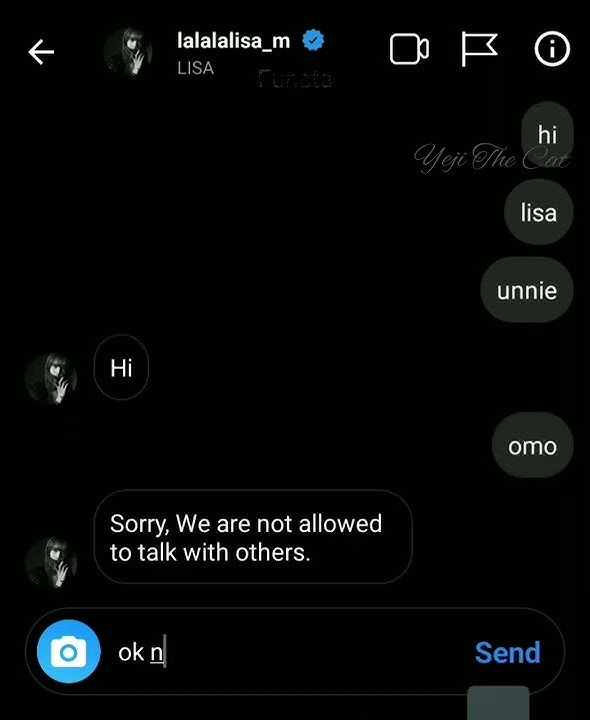 I tried texting Lisa in Instagram and she actually replied!💖💫