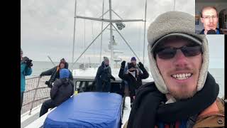 Hillstar Nature Winter Pelagic Birding Trip (Lewes, DE)