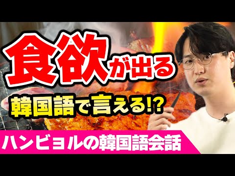 韓国語 食欲がある ない 好みは何 日常的な会話ではこう言います Youtube