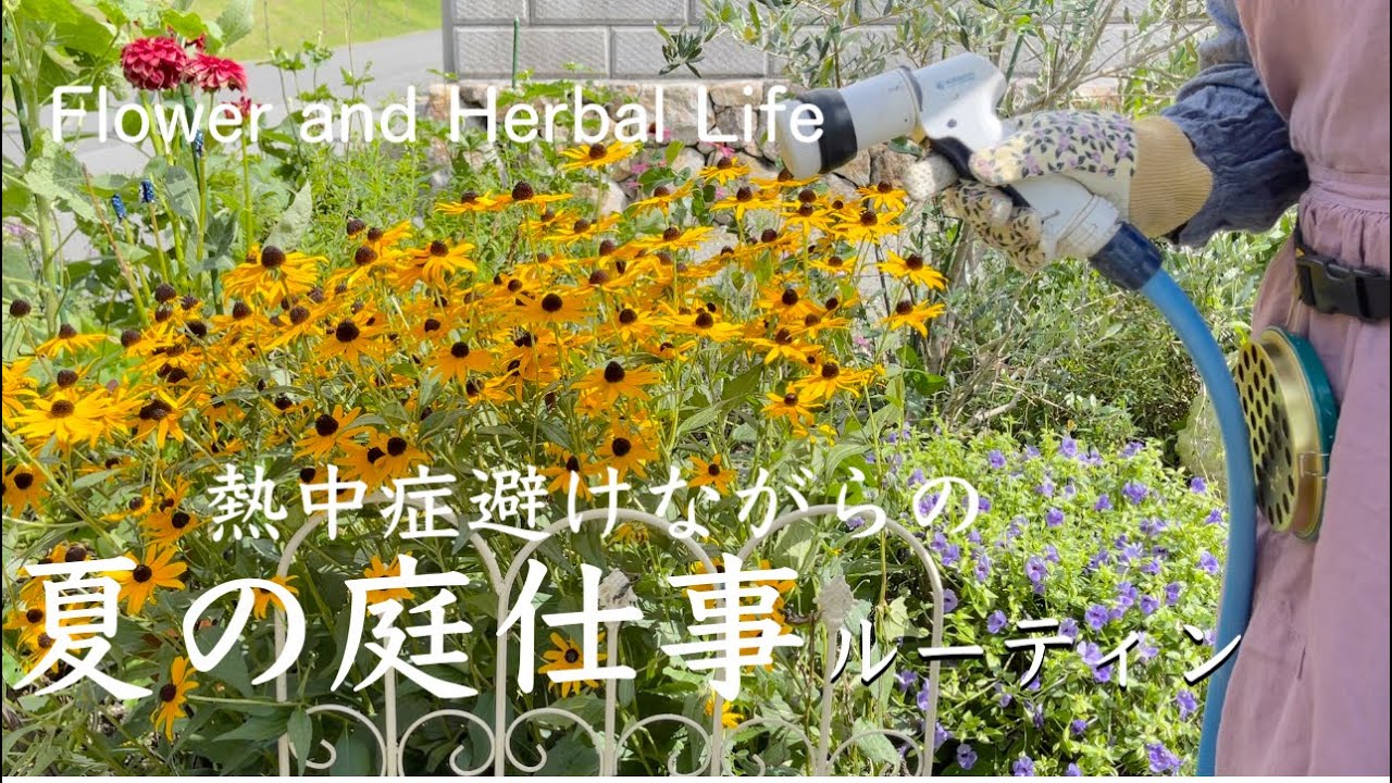 夏のガーデニングでやることvlog 庭の花とハーブのお世話をご覧いただけましたら幸いです Youtube