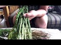 Braiding Sweetgrass