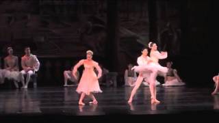Clips Networkdance