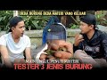 SETTING UNTUL PENUH MISTERI || 3 Jenis Burung Semua Masuk Cuma Beda Beda Materi Yang Keluar