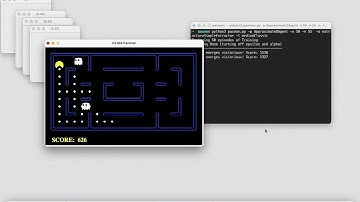 Q-Learning Pacman Agent - Large Grid