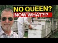 Beekeeping | What Do You Do When Your Queen Is Gone?