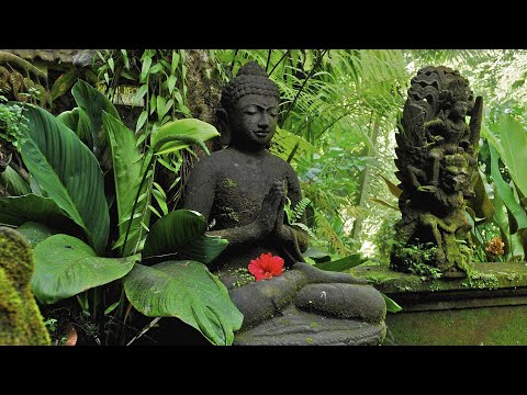 Video: Is Zen-tuine Boeddhisties?