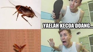 Video Lucu Takut Kecoa ( kocak hahaha )
