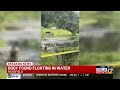 Body found floating in water in Mansfield, La.