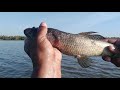 pegando muitos peixes na rede de pescar