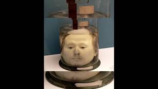Download Lagu World History- The preserved head of Portuguese serial killer and robber Diogo Alves (1810 – 1841). MP3