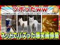 【🔥爆笑】思わずツボに入ってしまうwwネットで大バズり散らかした爆笑画像集www【2ch】【5ch】【ゆっくり解説】【コメ付き】【面白画像】