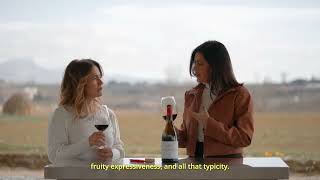 Finca Martelo 2021, the essence of Rioja Alavesa
