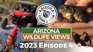 2023 Arizona Wildlife Views Episode 4 - 30 Minutes by Arizona Game And Fish 989 views 7 months ago 26 minutes