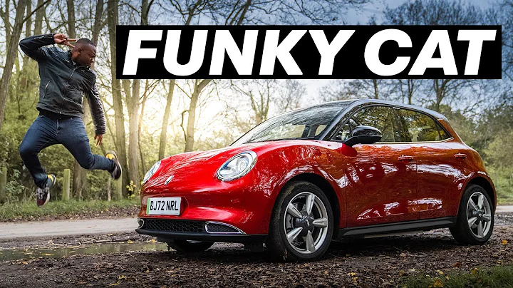 The Car With A Baby Scanner! ORA Funky Cat Review ...