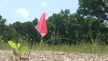 New nursery hopes to preserve Brookhaven