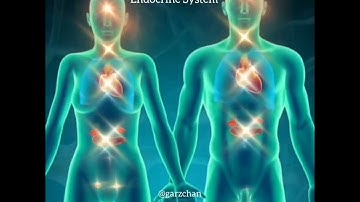 Light Language for Endocrine System - Garz Chan