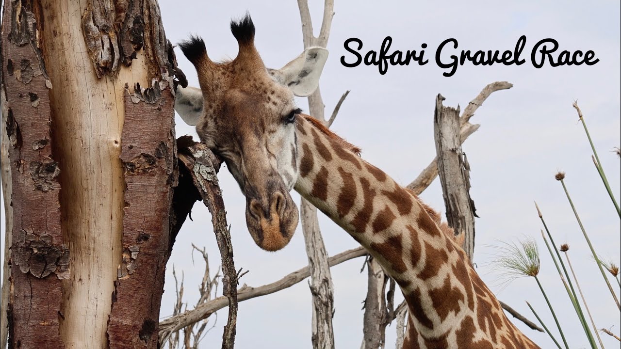 Safari Gravel didn’t go to plan - Gravel racing in Kenya