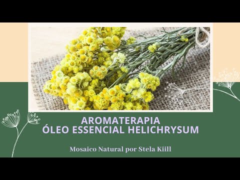 Video: Gelichrisum Immortale