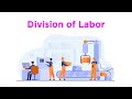 Specialization and Division of Labor