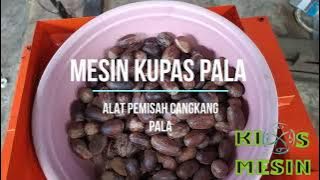 Nutmeg Shell Peeling Machine - Nutmeg Skin Separator Machine
