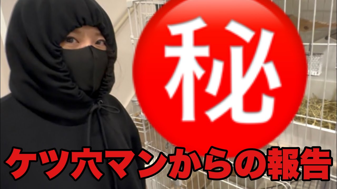 【ぽん太】妻からのご報告！