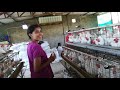Siddhi layer poultry farm