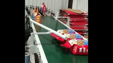 Lying of bags before palletising #conveyors #engineering #materialhandlingequipment#timesaviour