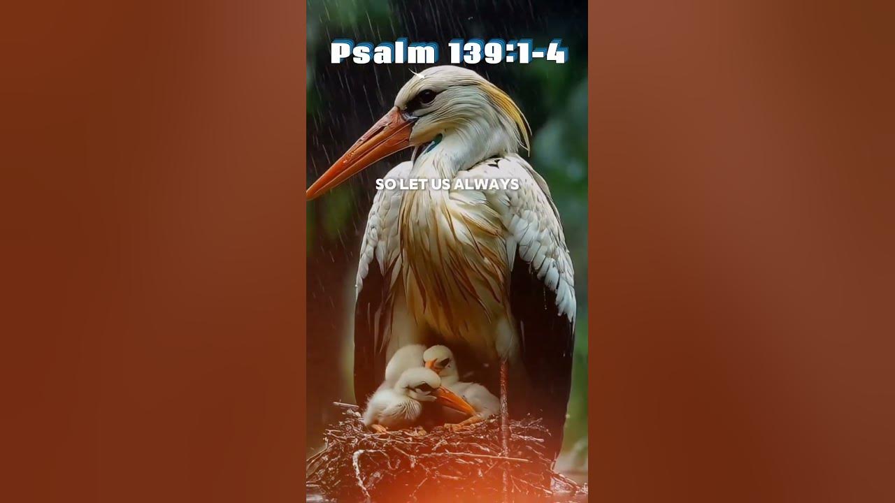 psalm-139-1-4-youtube