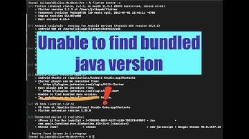 Flutter: Unable to find bundled java version