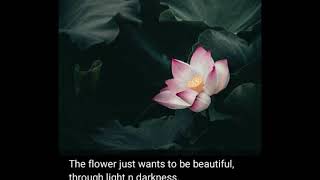 Shasha ft dj mahorisa & kabza de small - tender love (mad prophet's
remix) #afrodeep #afrotech