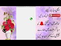 Wo wAli Videos dekhe in Android mobile | Hasnain Pardesi